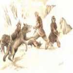 thumb_055 (Medium).jpg